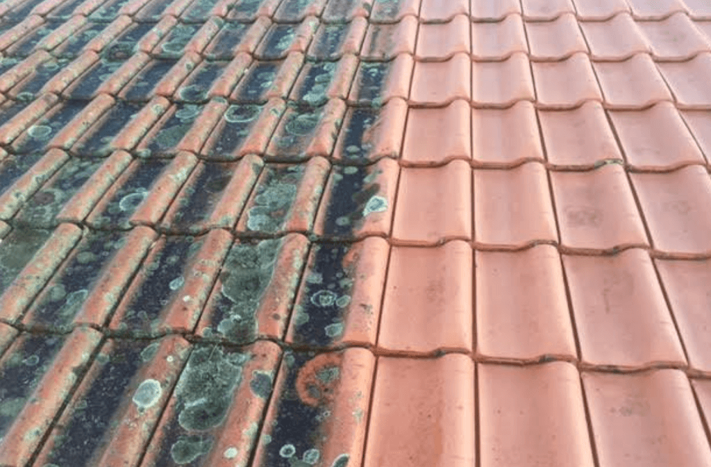 roof-cleaning